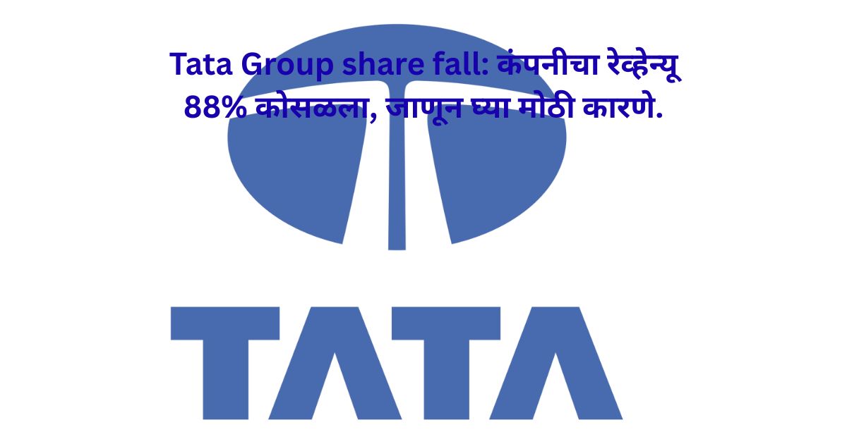 Tata Group share fall